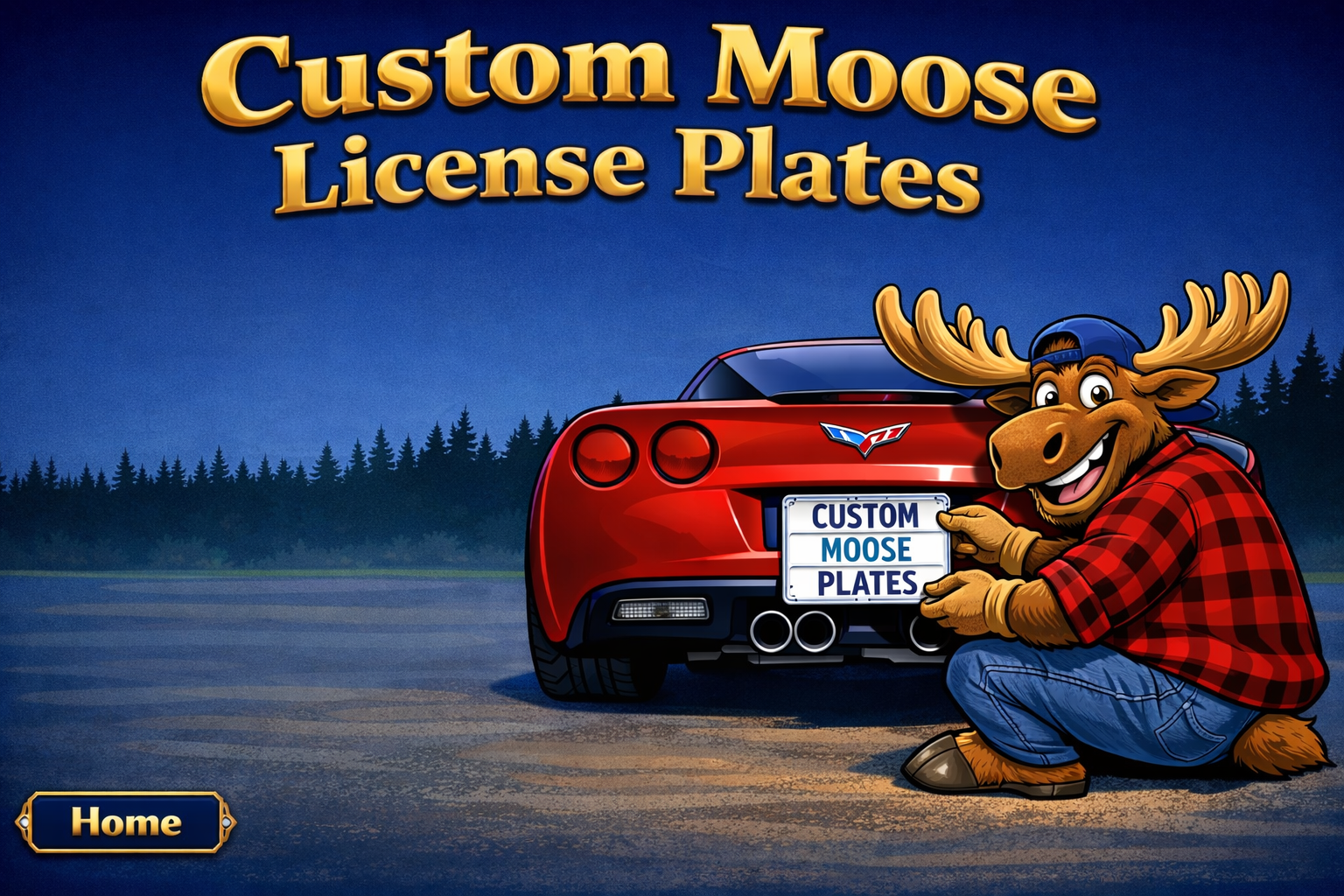 License Plates